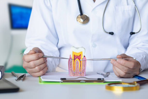 Best Walk-In Emergency Dentist in Point Venture, TX